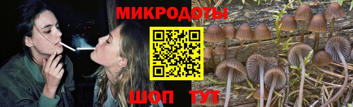 Галлюциногенные грибы Psilocybine cubensis  Вход с VPN  Галлюциногенные грибы Psilocybine cubensis  Усть-Илимск 